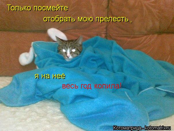 Котоматрица: Только посмейте отобрать мою прелесть  , я на неё  весь год копила!