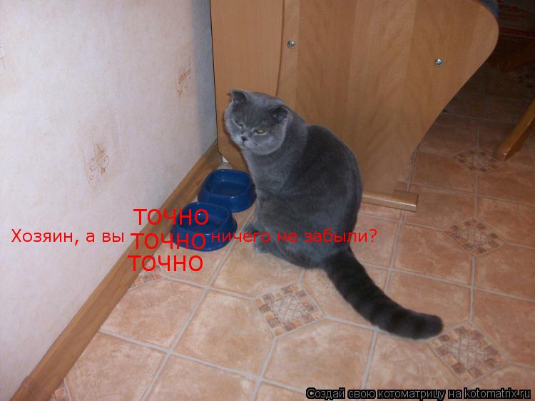 Хозяин, а вы ничего не забыли? ТОЧНО ТОЧНО ТОЧНО... Котоматрица: Хозяин, а вы ничего не забыли? ТОЧНО ТОЧНО ТОЧНО