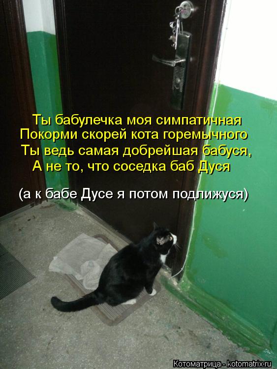 Котоматрица: Ты бабулечка моя симпатичная Покорми скорей кота горемычного Ты ведь самая добрейшая бабуся, А не то, что соседка баб Дуся (а к бабе Дусе я п