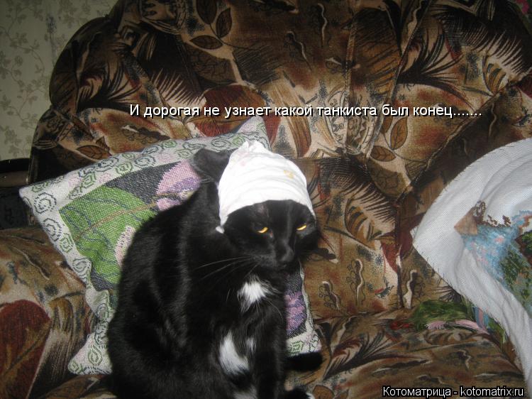 Котоматрица: И дорогая не узнает какой танкиста был конец.......