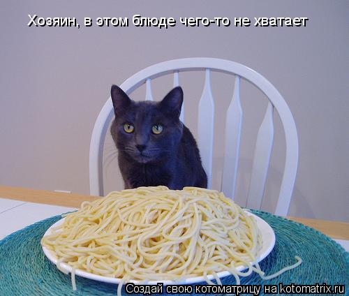 Котоматрица: Хозяин, в этом блюде чего-то не хватает