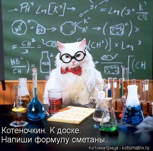 Котеночкин. К доске. Напиши формулу сметаны.... Котоматрица: Котеночкин. К доске. Напиши формулу сметаны.