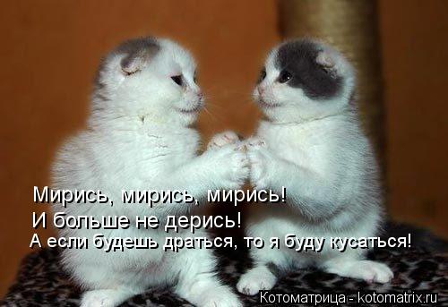 Котоматрица: Мирись, мирись, мирись! И больше не дерись! А если будешь драться, то я буду кусаться!