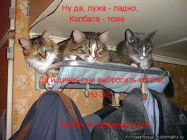 Котоматрица: Ну да, лужа - ладно,  Колбаса - тоже Да и диван они выбросить хотели... Но Это... БЫЛА их любимая ваза...