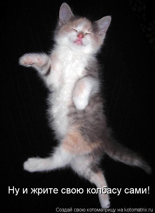 Ну и жрите свою колбасу сами!... Котоматрица: Ну и жрите свою колбасу сами!