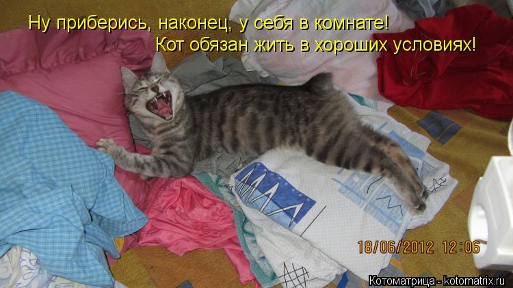 Ну приберись, наконец, у себя в комнате! Кот обязан жить в хороших условиях!... Котоматрица: Ну приберись, наконец, у себя в комнате! Кот обязан жить в хороших условиях!