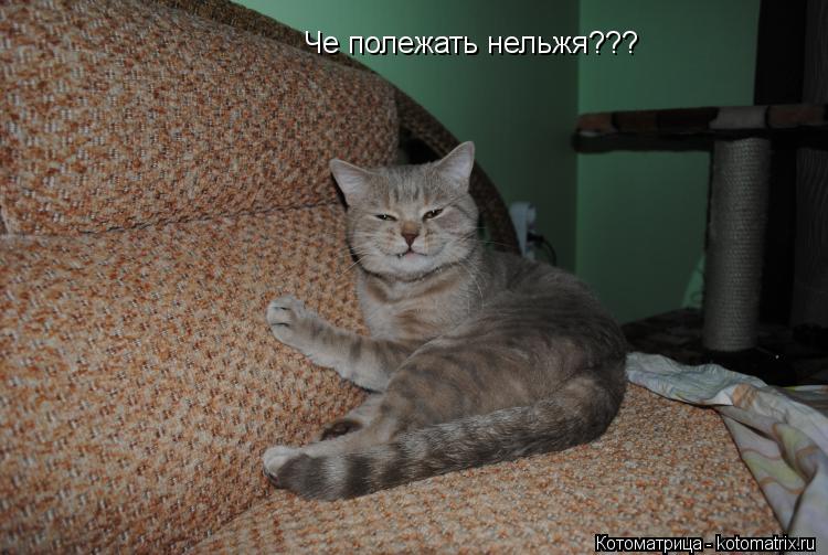 Котоматрица: Че полежать нельжя???
