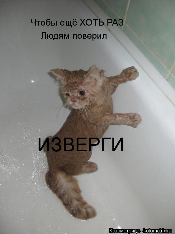 Чтобы ещё ХОТЬ РАЗ Людям поверил ИЗВЕРГИ... Котоматрица: Чтобы ещё ХОТЬ РАЗ Людям поверил ИЗВЕРГИ