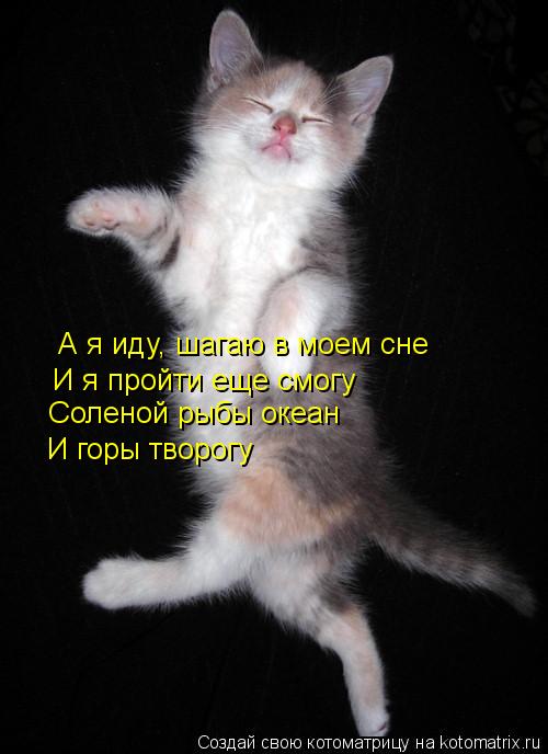 А я иду, шагаю в моем сне И я пройти еще смогу Соленой рыбы океан И горы творогу... Котоматрица: А я иду, шагаю в моем сне И я пройти еще смогу Соленой рыбы океан И горы творогу