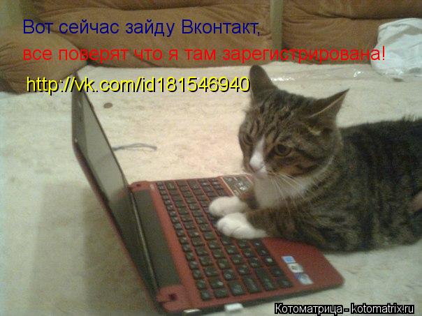 Котоматрица: Вот сейчас зайду Вконтакт, все поверят что я там зарегистрирована! http://vk.com/id181546940