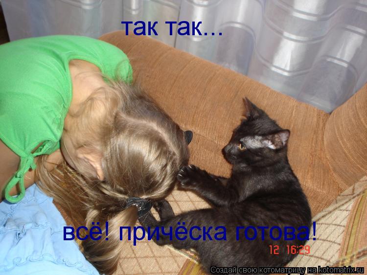Котоматрица: так так...  всё! причёска готова!