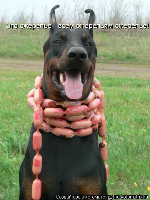 Котоматрица: Это ожерелье - всем ожерельям ожерелье!