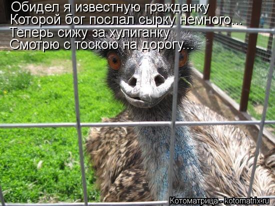 Котоматрица: Обидел я известную гражданку Теперь сижу за хулиганку Смотрю с тоскою на дорогу... Которой бог послал сырку немного...