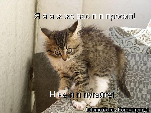 Н не п п пугайте! Я я я ж же вас п п просил!... Котоматрица: Н не п п пугайте! Я я я ж же вас п п просил!