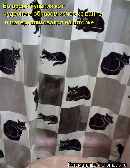 Котоматрица: Во время купания кот  чудесным образом исчез из ванны и материализовался на шторке