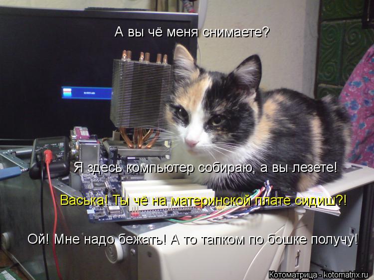 Котоматрица: А вы чё меня снимаете? Я здесь компьютер собираю, а вы лезете! Ой! Мне надо бежать! А то тапком по бошке получу! Васька! Ты чё на материнской пл