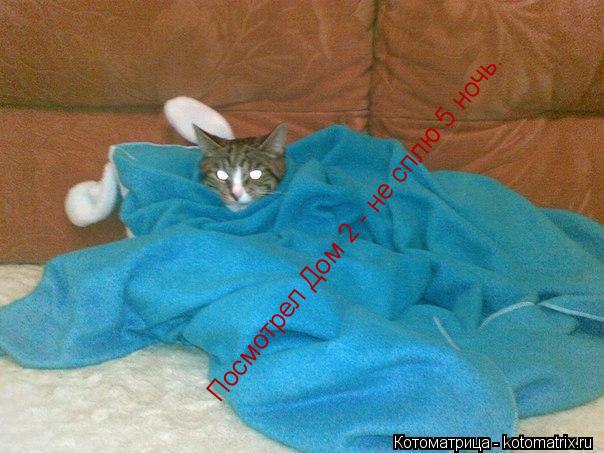 Котоматрица: Посмотрел Дом 2 - не сплю 5 ночь.