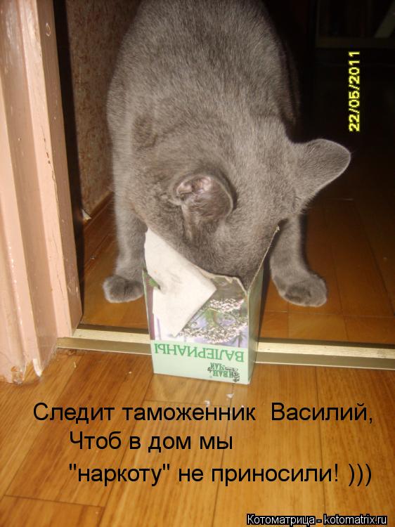 Котоматрица: Следит таможенник  Василий,  Чтоб в дом мы  "наркоту" не приносили! )))