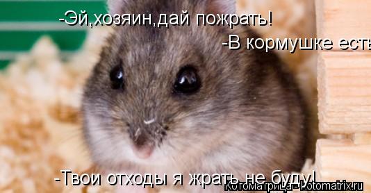 -Эй,хозяин,дай пожрать! -Эй,хозяин,дай пожрать! -В кормушке есть. -Твои... Котоматрица: -Эй,хозяин,дай пожрать! -Эй,хозяин,дай пожрать! -В кормушке есть. -Твои отходы я жрать не буду!