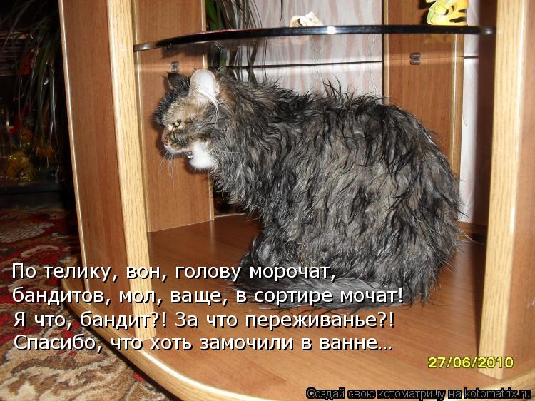 Котоматрица: По телику, вон, голову морочат, бандитов, мол, ваще, в сортире мочат! Я что, бандит?! За что переживанье?! Спасибо, что хоть замочили в ванне…