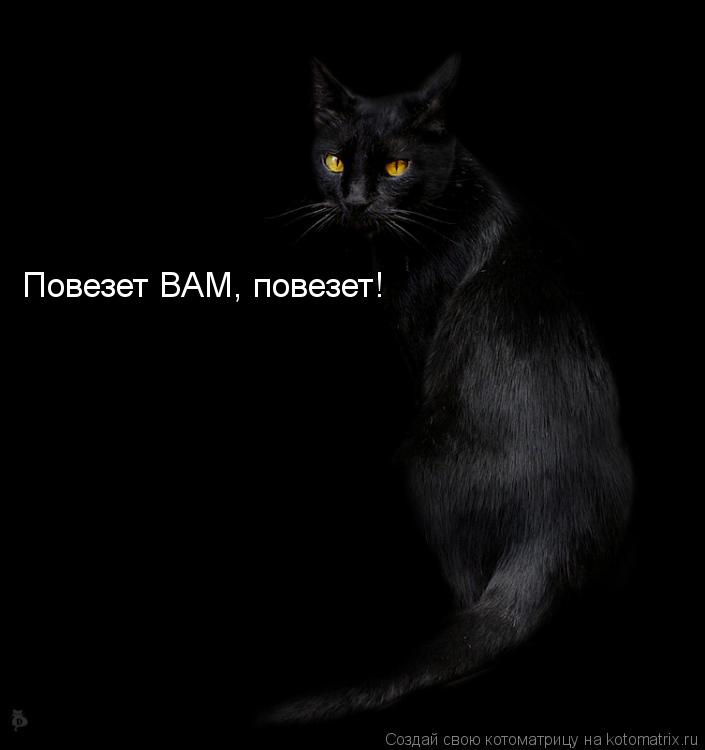 Котоматрица: Повезет ВАМ, повезет!