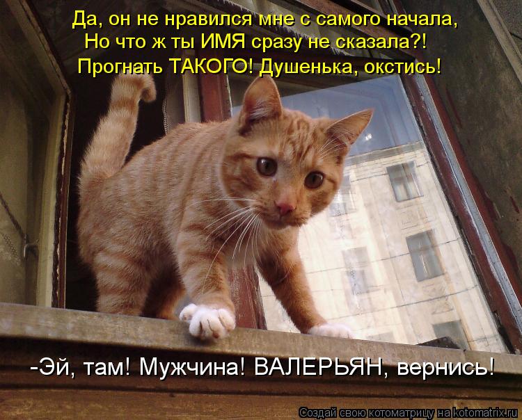 Котоматрица: Да, он не нравился мне с самого начала, Но что ж ты ИМЯ сразу не сказала?! Прогнать ТАКОГО! Душенька, окстись! -Эй, там! Мужчина! ВАЛЕРЬЯН, верни
