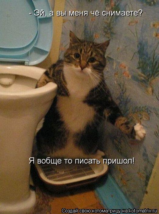 - Эй, а вы меня чё снимаете? Я вобще то писать пришол!... Котоматрица: - Эй, а вы меня чё снимаете? Я вобще то писать пришол!