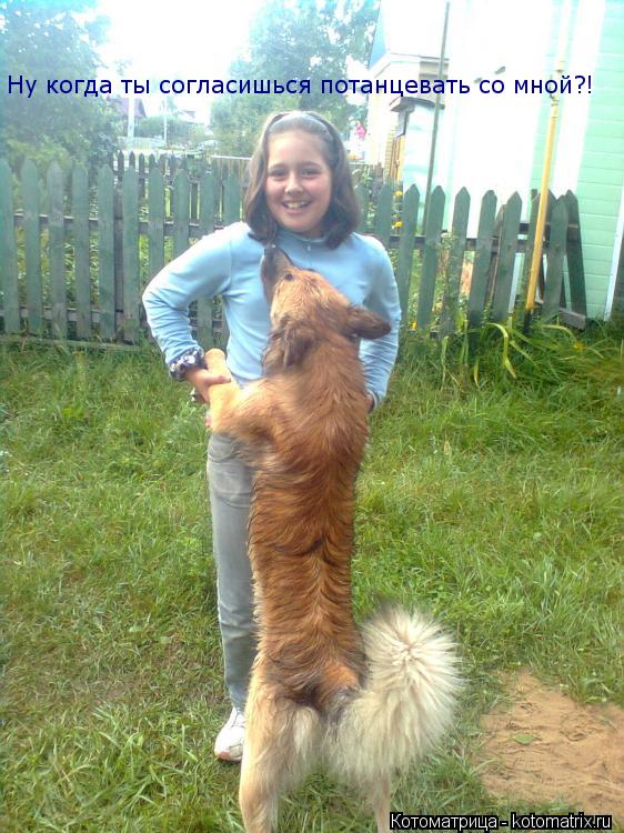 Котоматрица: Ну когда ты согласишься потанцевать со мной?!