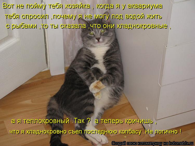 Котоматрица: Вот не пойму тебя хозяйка , когда я у аквариума  тебя спросил ,почему я не могу под водой жить   с рыбами ,то ты сказала ,что они хладнокровные ,