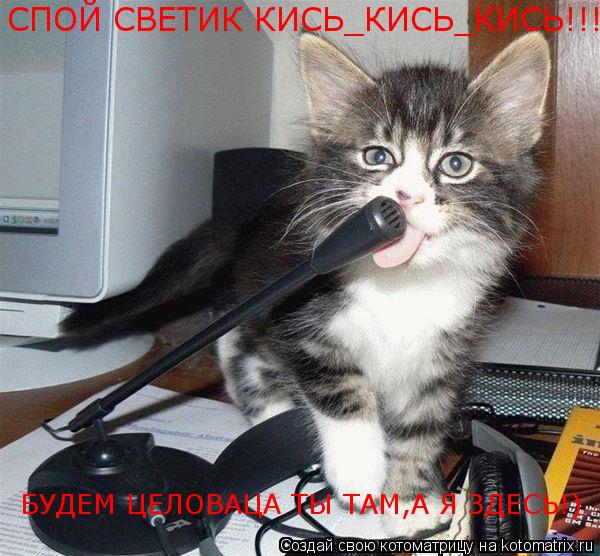 СПОЙ СВЕТИК КИСЬ_КИСЬ_КИСЬ!!! БУДЕМ ЦЕЛОВАЦА ТЫ ТАМ,А Я ЗДЕСЬ!)... Котоматрица: СПОЙ СВЕТИК КИСЬ_КИСЬ_КИСЬ!!! БУДЕМ ЦЕЛОВАЦА ТЫ ТАМ,А Я ЗДЕСЬ!)