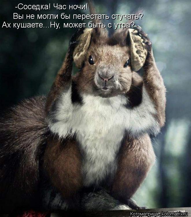 -Соседка! Час ночи! Вы не могли бы перестать стучать? Ах кушаете...Ну, может быть с утра?... Котоматрица: -Соседка! Час ночи! Вы не могли бы перестать стучать? Ах кушаете...Ну, может быть с утра?