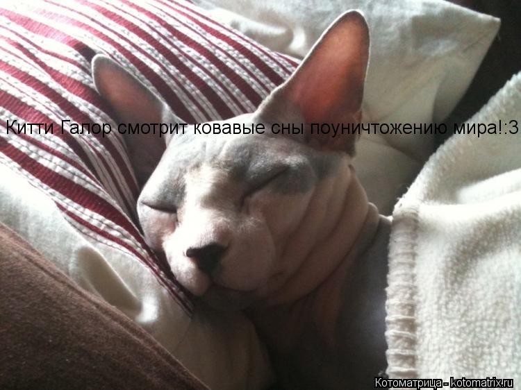 Китти Галор смотрит ковавые сны поуничтожению мира!:3... Котоматрица: Китти Галор смотрит ковавые сны поуничтожению мира!:3