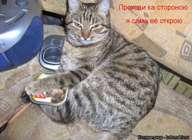 Котоматрица: Проходи ка стороною я сама её открою ...