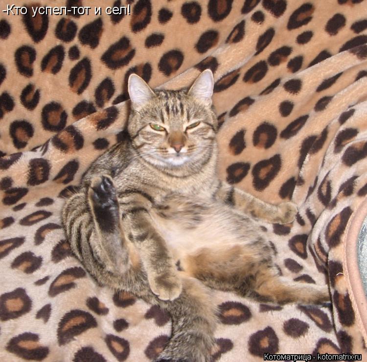 Котоматрица: -Кто успел-тот и сел!