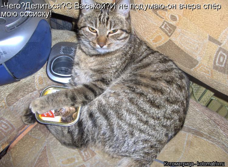 Котоматрица: -Чего?Делиться?С Васькой?И не подумаю-он вчера спёр мою сосиску!