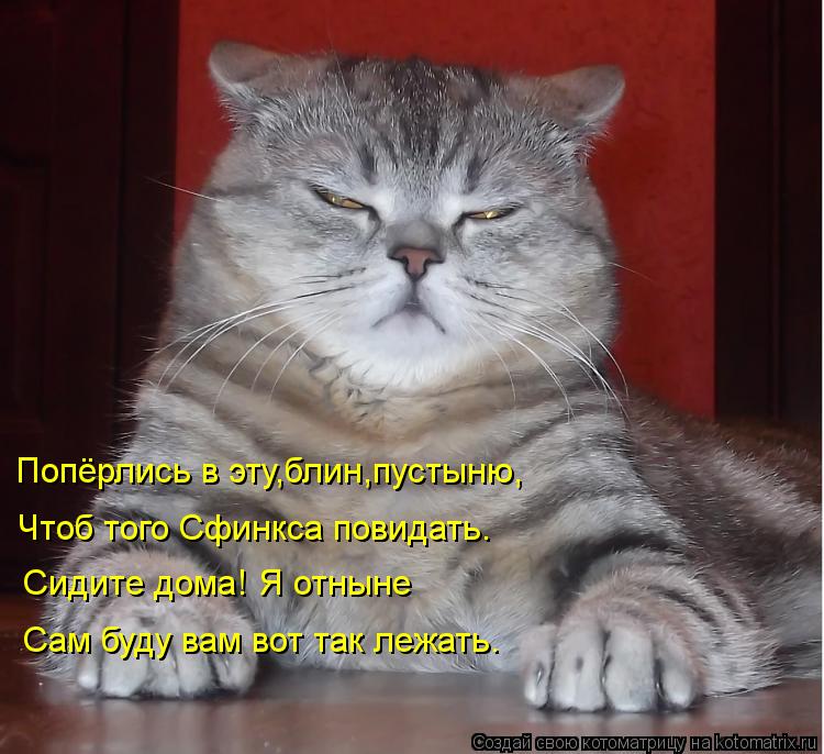 Котоматрица: Попёрлись в эту,блин,пустыню, Чтоб того Сфинкса повидать. Чтоб того Сфинкса повидать. Сидите дома! Я отныне Сам буду вам вот так лежать.