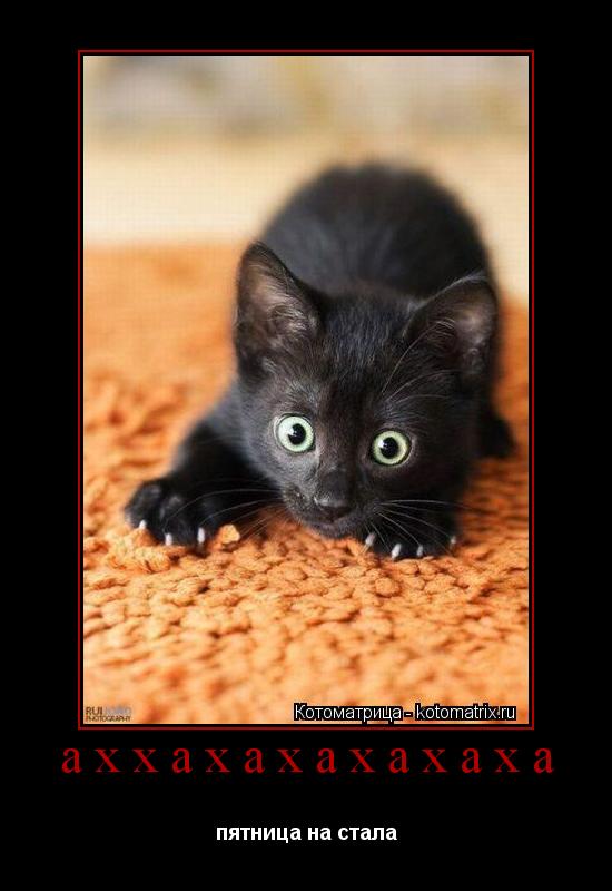 Котоматрица: аххахахахахаха пятница на стала