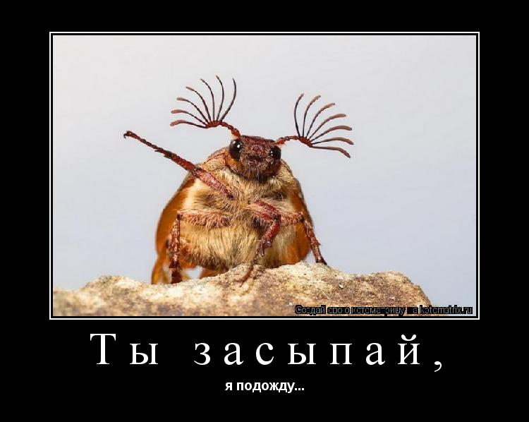 Ты засыпай, я подожду...... Котоматрица: Ты засыпай, я подожду...