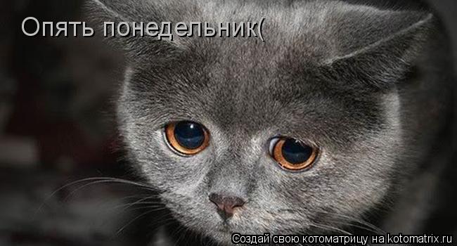 Опять понедельник(... Котоматрица: Опять понедельник(
