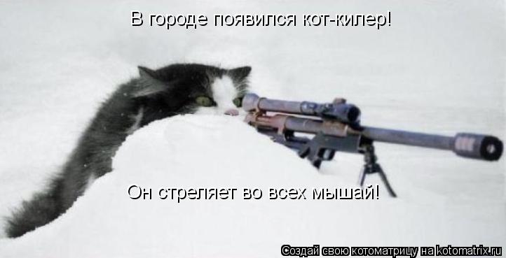 Котоматрица: В городе появился кот-килер! Он стреляет во всех мышай!