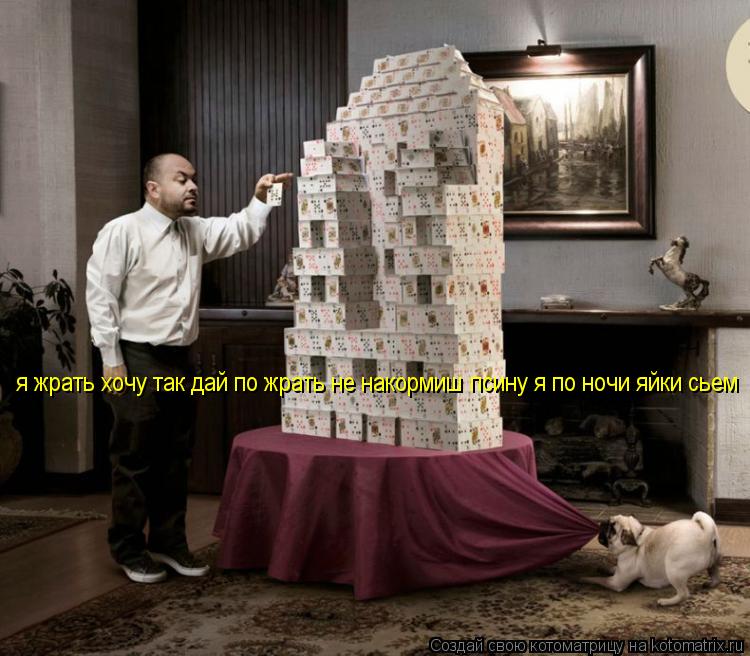 Котоматрица: я жрать хочу так дай по жрать не накормиш псину я по ночи яйки сьем