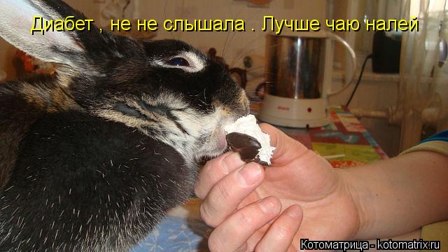 Котоматрица: Диабет , не не слышала . Лучше чаю налей