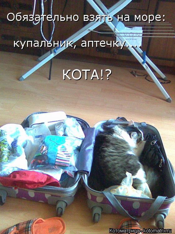 Котоматрица: Обязательно взять на море:   купальник, аптечку....  КОТА!?