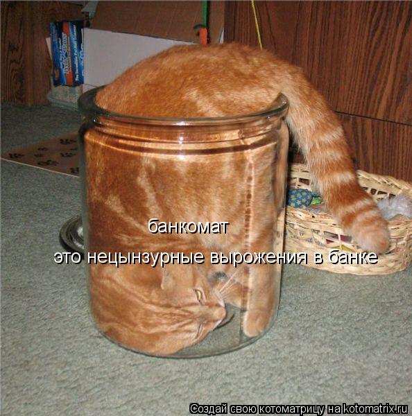 Котоматрица: банкомат это нецынзурные вырожения в банке