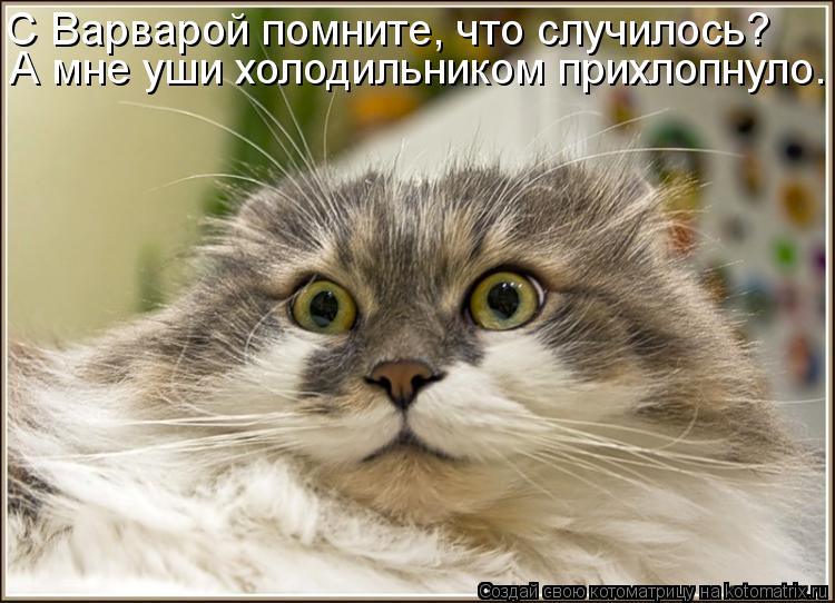 Котоматрица: А мне уши холодильником прихлопнуло. С Варварой помните, что случилось?
