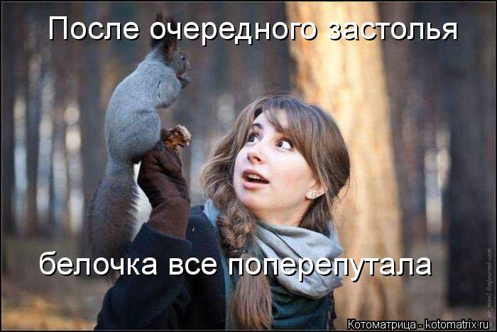 Котоматрица: После очередного застолья белочка все поперепутала