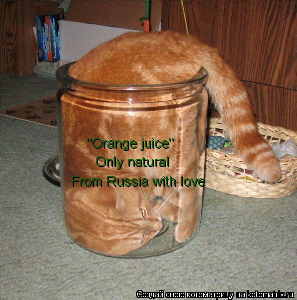 "Orange juice" Only natural From Russia with love... Котоматрица: "Orange juice" Only natural From Russia with love