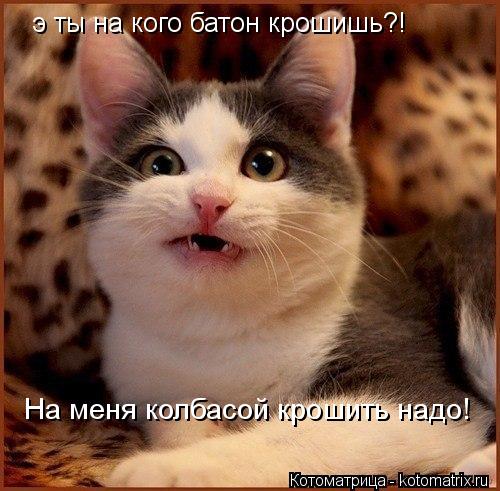 э ты на кого батон крошишь?! На меня колбасой крошить надо!... Котоматрица: э ты на кого батон крошишь?! На меня колбасой крошить надо!
