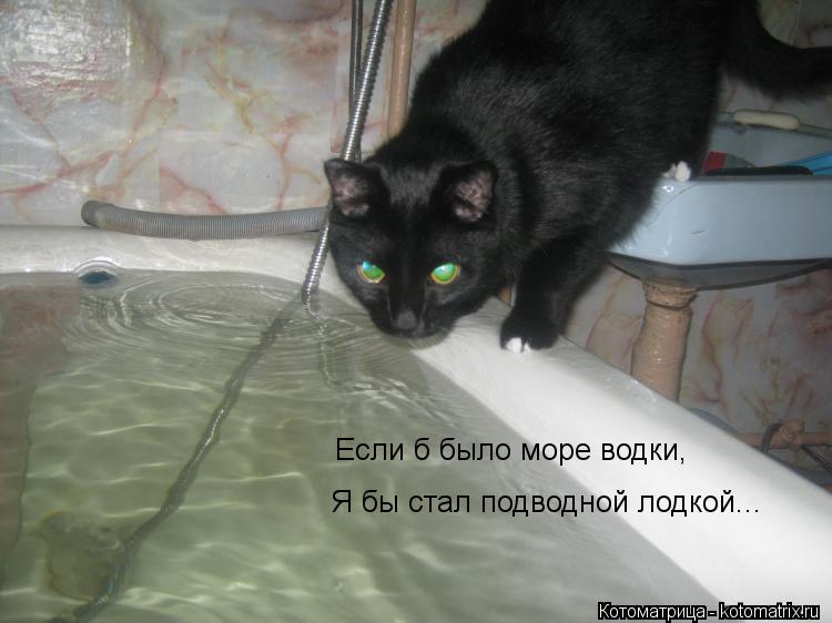 Котоматрица: Если б было море водки,  Я бы стал подводной лодкой...