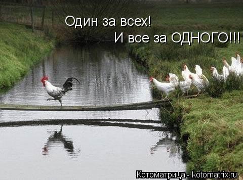 Котоматрица: Один за всех! И все за ОДНОГО!!!